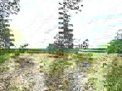 Cần bán 8000m² (8 sào) đất CLN chính chủ.