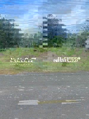 Đất chính chủ mặt tiền DH 519 chỉ 350tr ở Phước Thành ,Tp Hồ Chí Minh