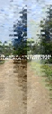 Chính chủ bán đất sổ đỏ, có thổ cư xã Lộc Khánh, Lộc Ninh, Bình Phước