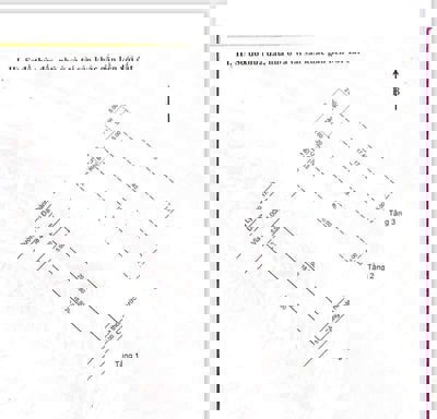 🏠 CHÍNH CHỦ BÁN ĐẤT TẶNG NHÀ – NHÀ 3 TẦNG KIÊN CỐ – ĐƯỜNG LÝ ĐẠO THÀNH