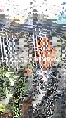 CHỈ HƠN 4 TỈ - CHỦ BÁN VỀ QUÊ- HIỆN HỮU- TRUNG TÂM- HẺM TO