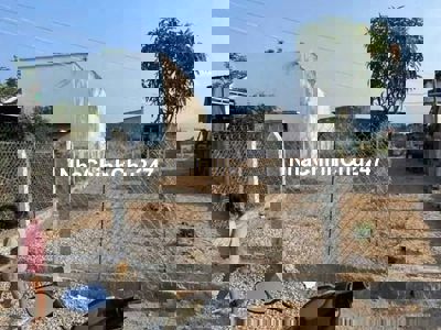 Chính chủ bán lô đất thổ cư 100%–175m²– đường cây trôm mỹ khánh Củ Chi