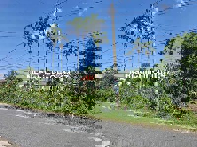 CHỦ CẦN TIỀN GỞI BÁN LÔ ĐẤT MẶT TIỀN ĐÀ NẴNG GIÁ RẺ