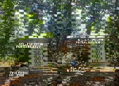 Chủ bể nợ cần bán gấp căn nhà vườn 1385m² giá siêu ngộp 298 triệu