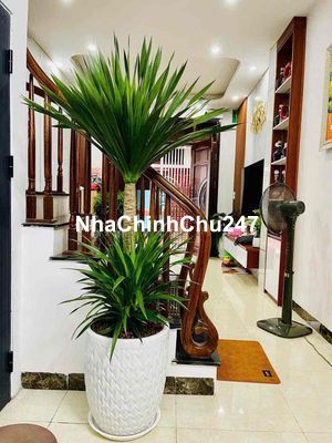 nhà khu tập thể Bông Vải Sợi - Lai Xá - 4 tầng - chủ tặng nội tHẤT