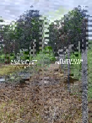 Chính chủ bán đất Lê Minh Xuân, Bình Chánh sát vành đai 3, VVK nối dài