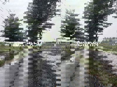 chính chủ gửi bán lô góc sentosa đường 10m5 và 7m5 giá đầu tư