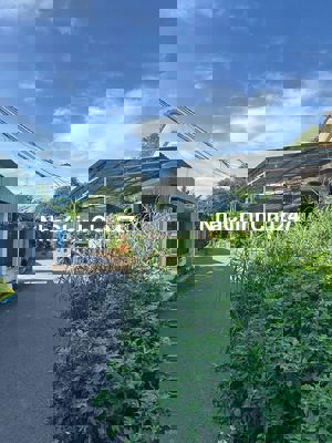 CHỦ BÁN LÔ ĐẤT LONG PHƯỚC GẦN TL52 – ĐÔNG DÂN CƯ – GIÁ CHỈ 1 TỶ 750