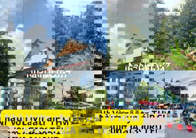 Chính chủ kẹt tiền cần bán gấp, vườn trái cây nghỉ dưỡng, tặng nhà C4