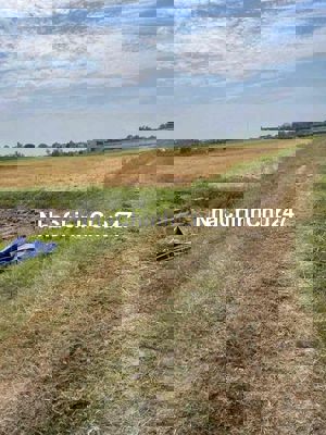 chủ hạ giá bán gấp lô đât đường thông xe hơi 135m chỉ 650tr hoà khánh