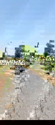 Đất Chính Chủ Cần Bán Nhanh , Mặt Tiền nhựa, Cách Núi Bà 5km . TPTN