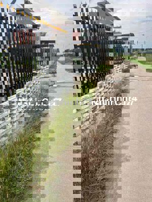 Chính chủ bán đất bình thành đức huệ long an