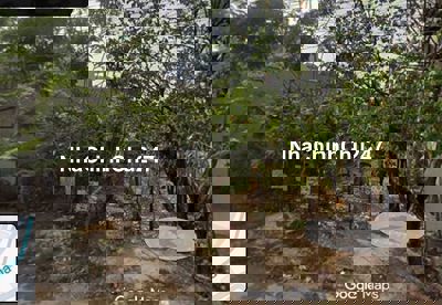 Chính Chủ cần bán lô đất 120m2, hẻm lớn 10m, gần đ 17A, KCN Biên Hòa 2