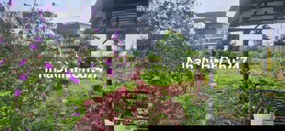 chính chủ cần bán gấp nhà vườn 6.000m2 trong khu du lịch sinh thái