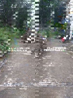 86 m chính chủ 315t