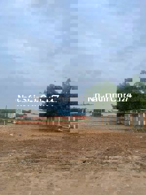 CẦN TIỀN MUA VÀNG CHỦ BÁN LÔ ĐẤT ĐƯỜNG VEN BIỂN GIÁ 1TY080