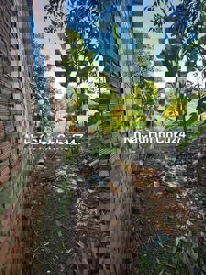 CHÍNH CHỦ BÁN 4543 m đất , có 200m thổ cư tỉnh bình phước