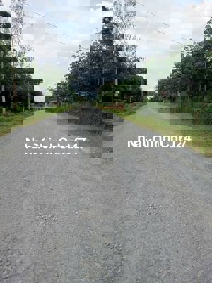 BÁN ĐẤT RẪY CAO SU 4 NĂM – 2 MẶT TIỀN ĐƯỜNG ĐẸP -Chính chủ 916.737.488