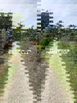 ĐẤT CHÍNH CHỦ KHU DÂN CƯ BÀN CỜ PHƯỚC MINH