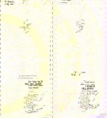 Bán Gấp Đất Chính Chủ Hẻm Xe Hơi Ấp Nước Vàng, Phú Giáo, Bình Dương