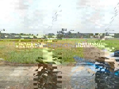 🌿🌿 CHÍNH CHỦ GỬI BÁN ĐẤT THỔ CƯ – ĐỨC TÂN, TÂN TRỤ, LONG AN