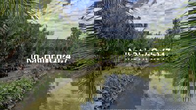 Chính chủ bán đất Cẩm thanh, Hội an, diện tích 532 m2, full thổ cư