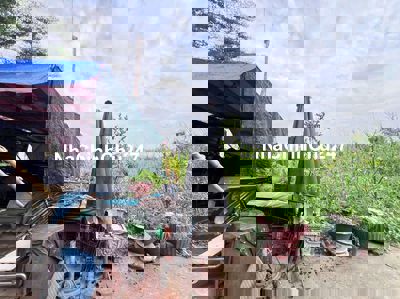 Chính Chủ Bán Đất Ấp 2 hữu Thạnh đối diện Ecity Tân Đức 1/ DT824