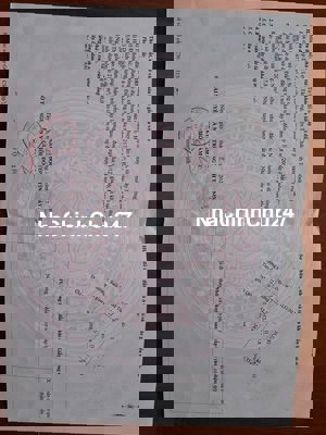 CẦN BÁN ĐẤT CHÍNH CHỦ – ẤP ĐÔNG LỢI, XÃ TÂN ĐÔNG, TÂN CHÂU, TÂY NINH