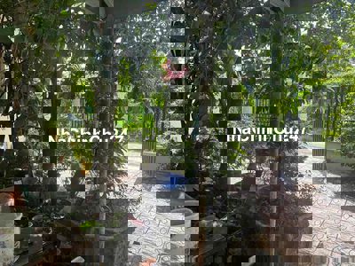 NHẬN CHÍNH CHỦ  NHÀ GẦN PHƯỜNG TƯ – LONG PHƯỚC, LONG HỒ, VĨNH LONG 	•