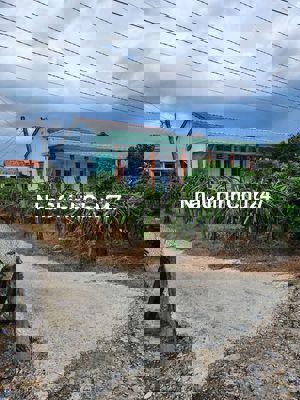 Em chính chủ bán lỗ lô đất góc 2 mt đường 12m sát Thị trấn Tầm Vu