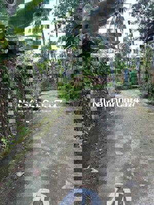 NHẬN CHÍNH CHỦ  ĐẤT NỀN LỚN GẦN ĐƯỜNG D8 – PHƯỜNG 9, TP. VĨNH LONG 	•