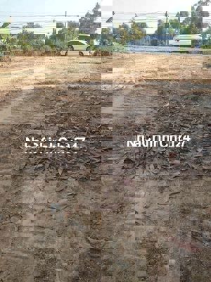 Chính chủ bán đất sổ đỏ Thị xã Kiến Tường Long An diện tích 11168,3 m2