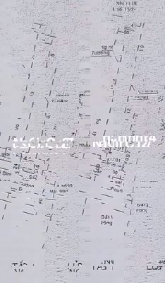 Bán Nhà HẺM THÔNG TỈNH LỘ 10 - 4x16- SHR- 3ty8 CHÍNH CHỦ