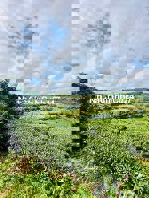 Chính chủ bán đất  view điện gió săn mây Cầu Đất nét 2 tỷ 5 - 855m