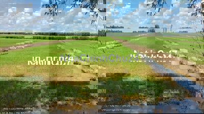 CHÍNH CHỦ BÁN GẤP 4500M2 ĐẤT(200M2 THỔ CƯ) SÁT KCN VIỆT PHÁT THỦ THỪA.