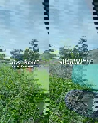 CHÍNH CHỦ BÁN LÔ ĐẤT 170m² TẠI LONG PHƯỚC – TP BÀ RỊA