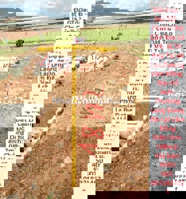 Chính Chủ Cần Bán Lô Đất Vị Trí Đẹp Tại xã Lạc Dương Lâm Đồng