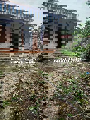 Chính chủ Bán đất tặng nhà