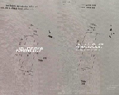 Chính chủ bán đất tại ngõ Triệu Quang Phục, Thành phố Hải Dương