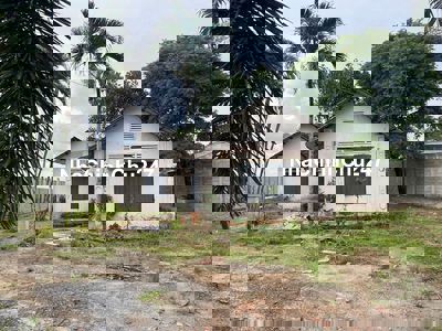 CHÍNH CHỦ BÁN ĐẤT 2160m2 TẠI PHẠM VĂN CỘI – MẶT TIỀN BÀU LÁCH