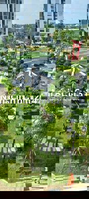 Chính chủ cần bán Căn hộ ORIGAMI S10.07 Tầng3 Căn góc 81m² 3PN2Toilet