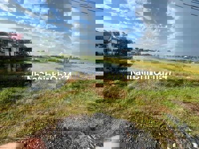 Chính chủ kẹt tiền ngân hàng cần bán gấp miếng đất lúa