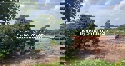 CHÍNH CHỦ BÁN ĐẤT CHÂU THÀNH, ĐỒNG THÁP - Diện tích: 4.242m2