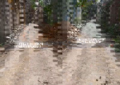 Chính chủ xây nhà thiếu tiền bán lỗ lô đất giá rẻ nhất thị trường