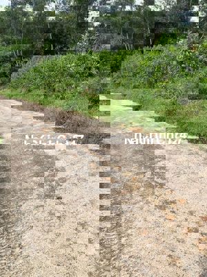 CHÍNH CHỦ BÁN ĐẤT LONG TÂN - NHƠN TRẠCH