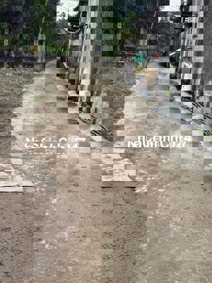 chính chủ dân gốc cần bán 3 nền đất thổ cư