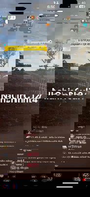 Đất chính chủ cách chợ đêm Đà Lạt 30km giá 449tr (7x32 sẵn 140tc)