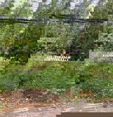 Chính chủ cần bán đất ở đường Lê Đức Thọ, Tân Thạnh, Thới Lai.Cần Thơ