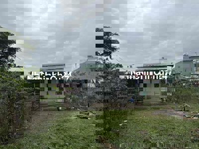 Bán đất tdc hoà liên 4 dt140m ngang5 dai28 (Lh chính chủ)