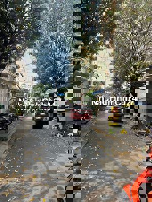 Nhà Nát Chính Chủ - 8m x 16m - Nhỉnh 12 Tỷ Thương Lượng